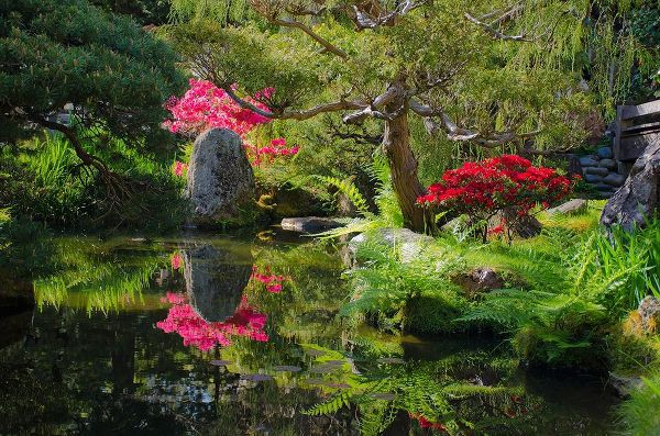 Miller, Anna 아티스트의 Japanese Tea Garden-Golden Gate Park-San Francisco-California-USA작품입니다.